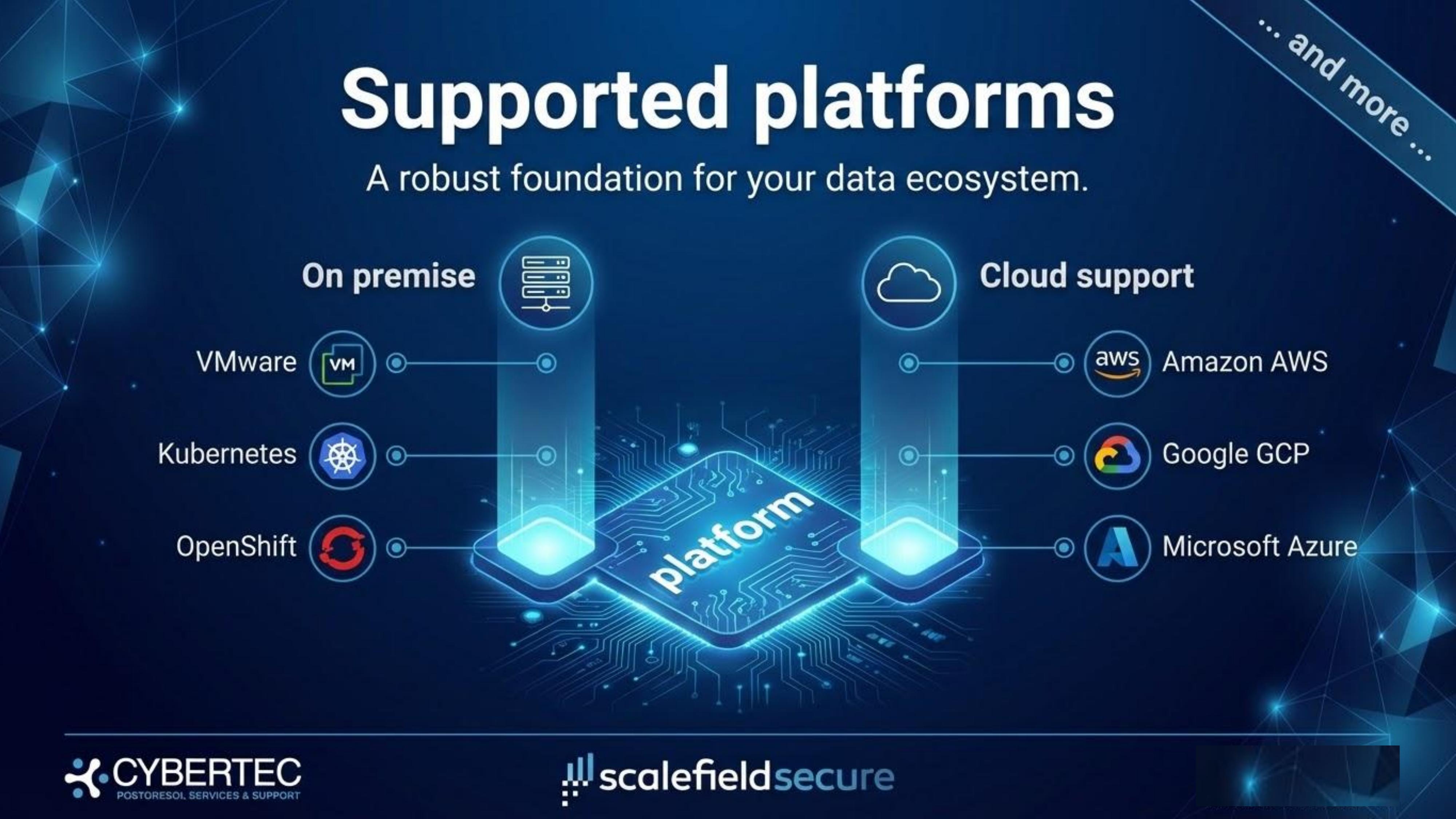 Supported platforms including VMware, Kubernetes, OpenShift, AWS, GCP, Azure